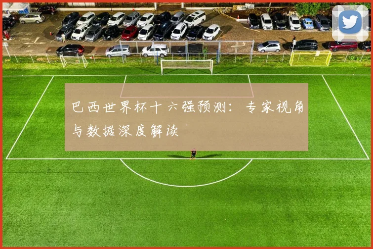 巴西世界杯十六强预测：专家视角与数据深度解读