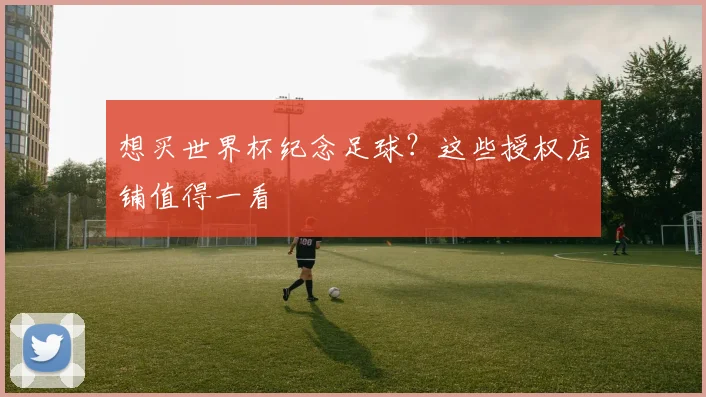 想买世界杯纪念足球？这些授权店铺值得一看