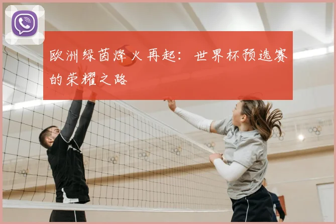 欧洲绿茵烽火再起：世界杯预选赛的荣耀之路