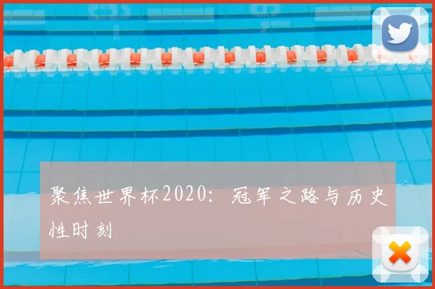 聚焦世界杯2020:冠军之路与历史性时刻
