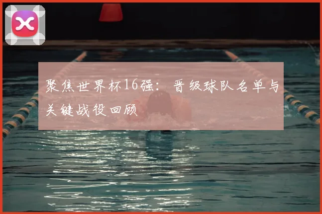 聚焦世界杯16强：晋级球队名单与关键战役回顾