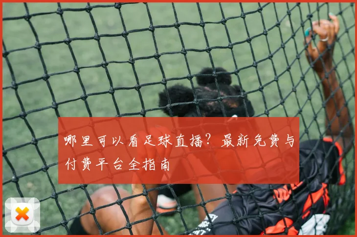 哪里可以看足球直播？最新免费与付费平台全指南