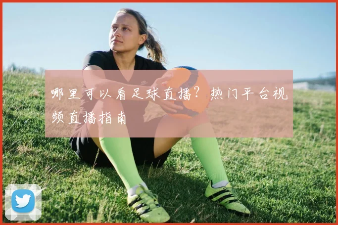 哪里可以看足球直播？热门平台视频直播指南