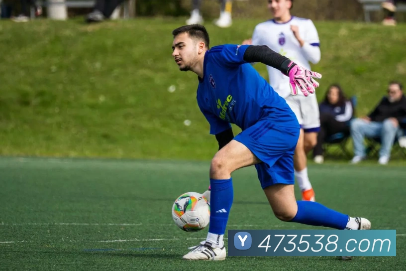 开云在线官方网站APP 封面图